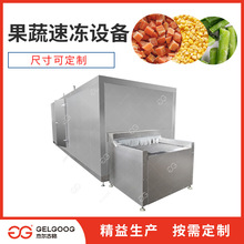 食品加工厂速冻冷冻生产线设备 饺子速冻机设备 定制果蔬速冻设备