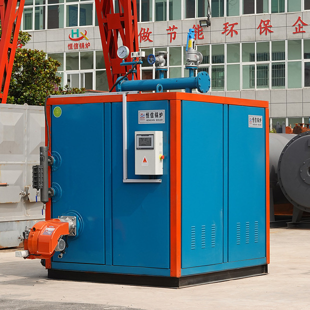 蒸汽锅炉 10吨燃煤蒸汽锅炉 全自动15吨生物质蒸汽锅炉厂家销售