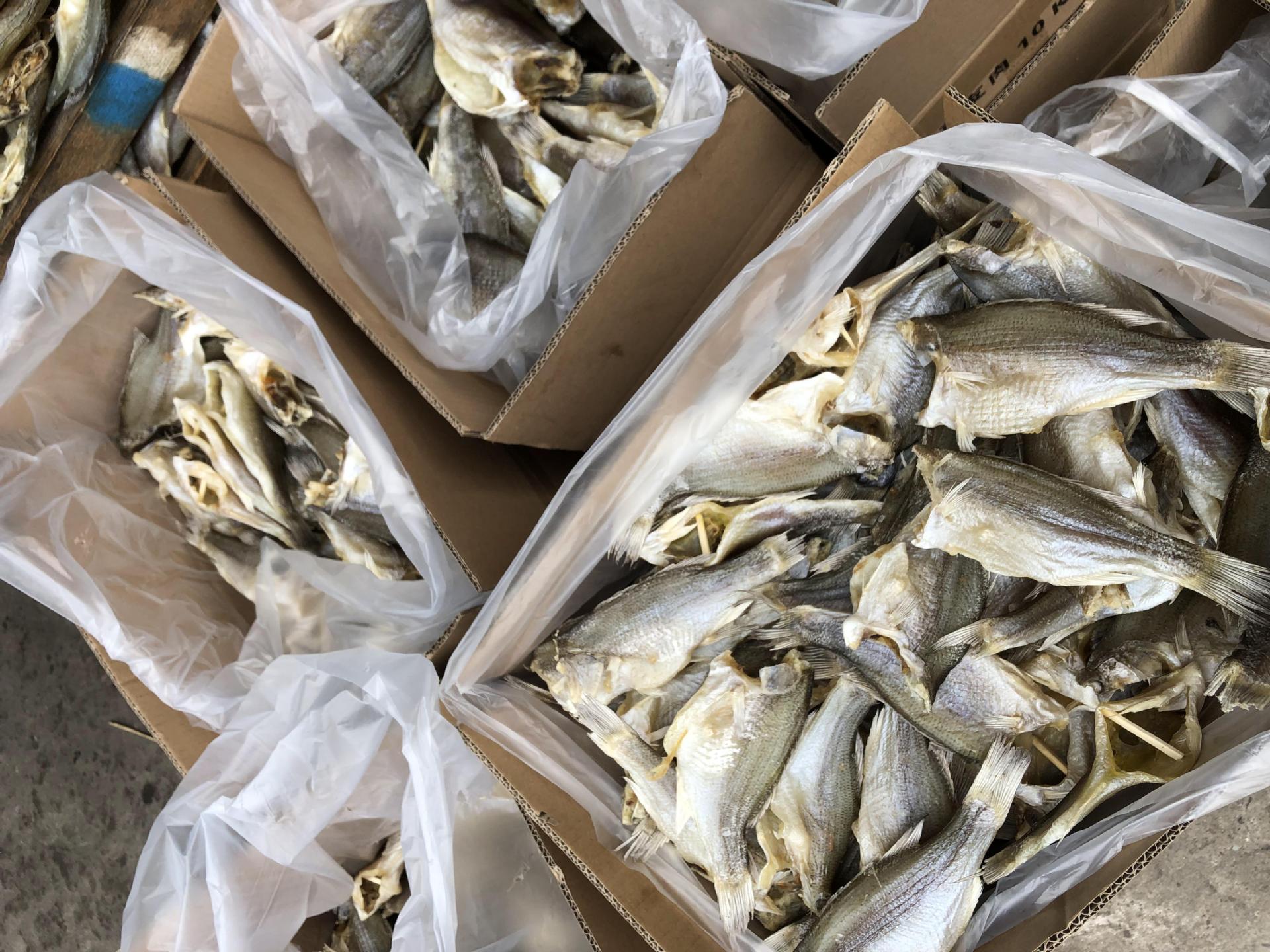 跑江湖地摊展会鲈鱼干海鲜干货海鲈鱼咸鱼干散装咸鱼干厂家批发