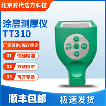 北京时代TT310高精度涂层测厚仪磁性涡流一体自动识别精密测量