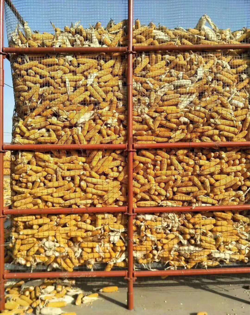 山东临沂高效玉米架轮扣快拆式脚手架架管厂家优惠