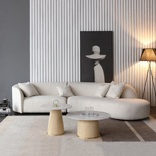 北欧轻奢设计师款创意小户型家用客厅弧形美容院休息区接待沙发