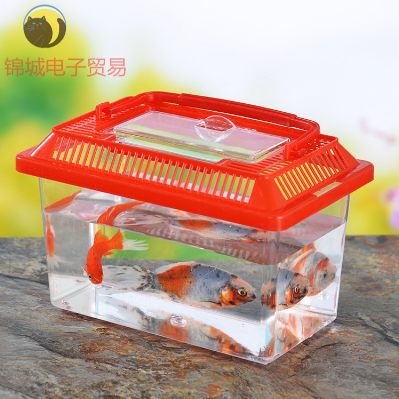 养蝌蚪容器小金鱼专用幼儿园观察日常金鱼饲养盒带晒台蝌蚪养殖