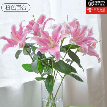 【粉红色百合鲜花】昆明百合花基地批发 居家婚庆装饰 鲜切百合花