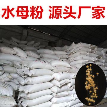 水母粉散装纯水母蜘蛛丝水拉饵料伴侣丝王拉丝粉状态粉海藻粉批发