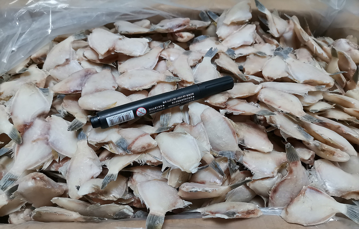 速冻水产品 单冻三去50-60条斤马面鱼冷冻达仔鱼可加工耗儿鱼厂家