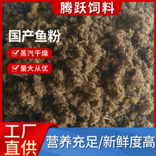 厂家批发供应饲料级国产鱼粉 蛋白蒸汽干燥国产脱脂鱼粉 鱼粉饲料