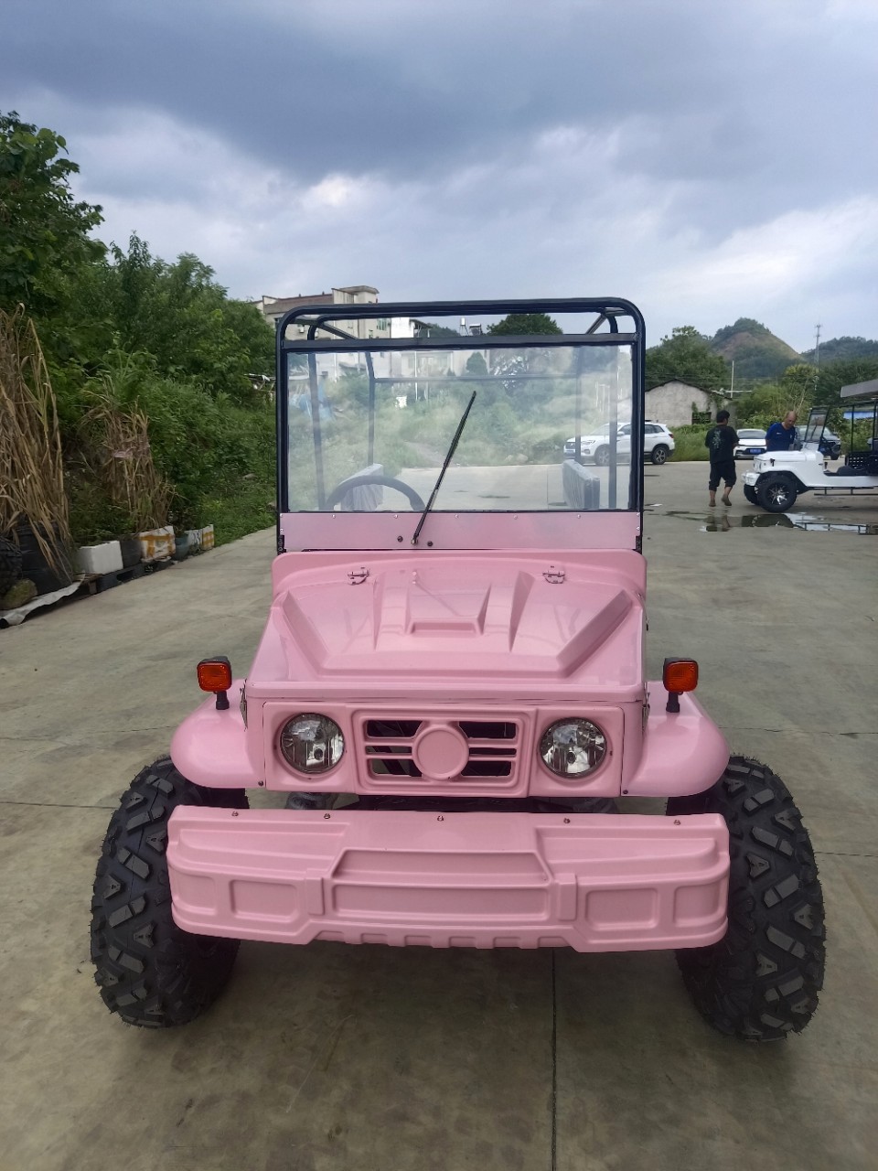 锂电池5000w电动四轮沙滩车四座全地形越野卡丁车utv buggy-阿里巴巴