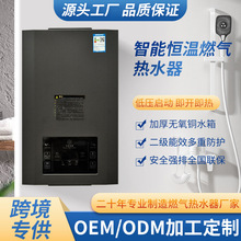 OEM/ODM定制燃气液化气热水器无氧铜水箱天然气恒温热水器跨境
