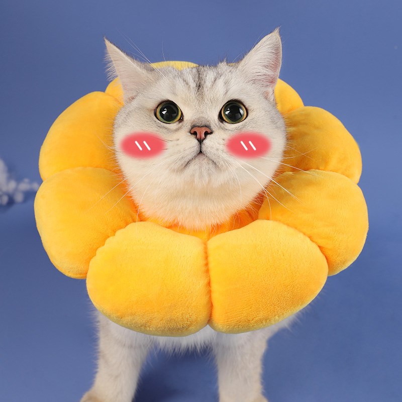 猫咪伊丽莎白软项圈猫耻辱圈太阳花宠物围脖头套防舔幼猫脖圈用品