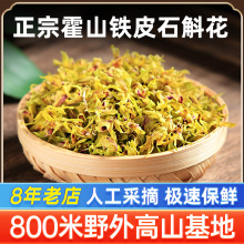 正品仿野生霍山铁皮石斛花 石斛干花 花茶批发