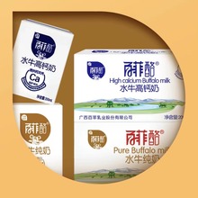 百菲酪金装版高钙奶水牛纯奶饮品调制乳早餐奶200ml全系列