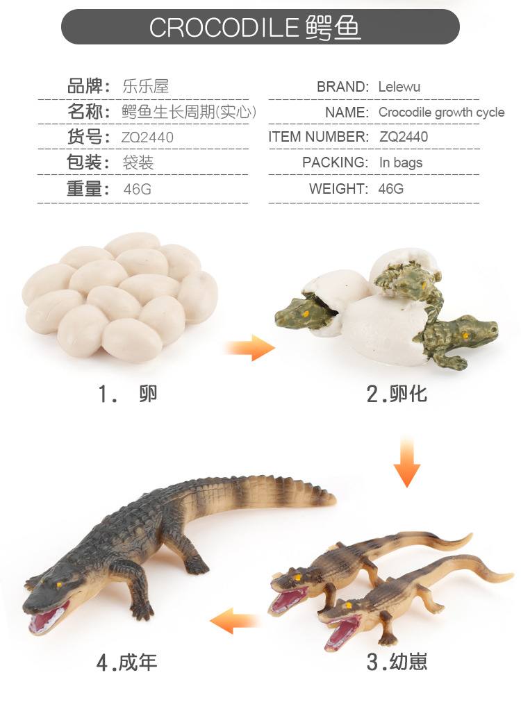 亚马逊,wish,速卖通,独立站,lazada颜色zq2440-鳄鱼生长周期 46g,zq