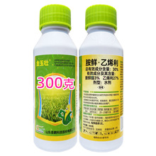 30% 胺鲜酯乙烯利 300克 玉米控旺 植物生长调节剂 胺鲜乙烯利