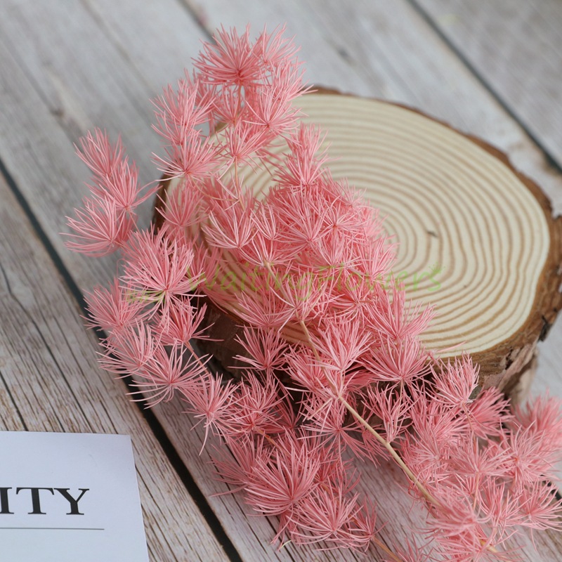 国产蓬莱松永生花配材保鲜花礼盒插花原材料diy浮游花标本手作