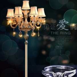 欧式奢华K9透明落地灯客厅沙发卧室书房样板房设计师创意灯具