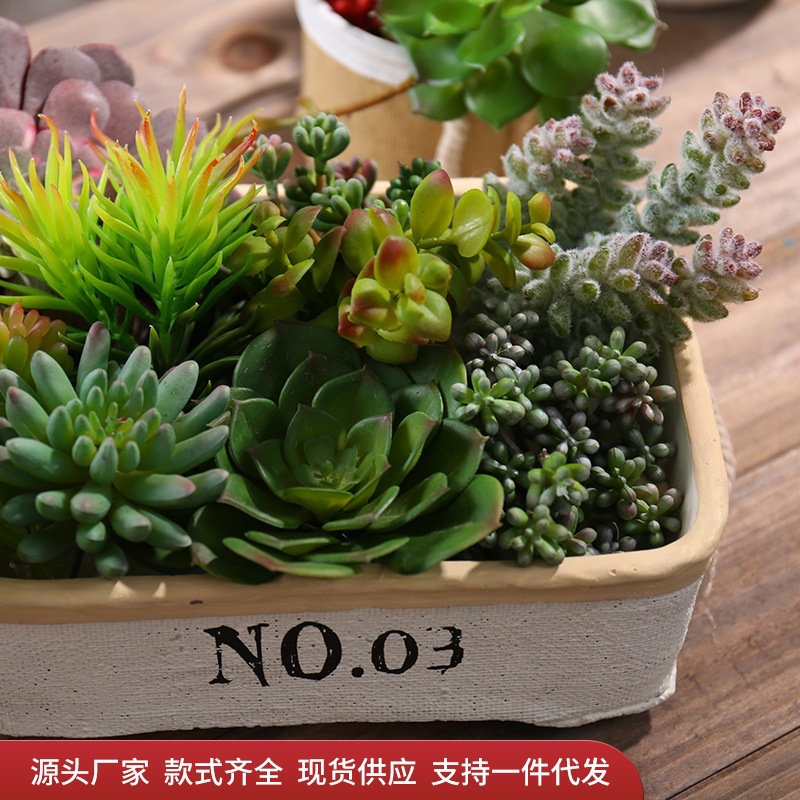 创意仿真多肉植物人造塑料绿植绿色室内装饰品塑料迷你小植物摆件