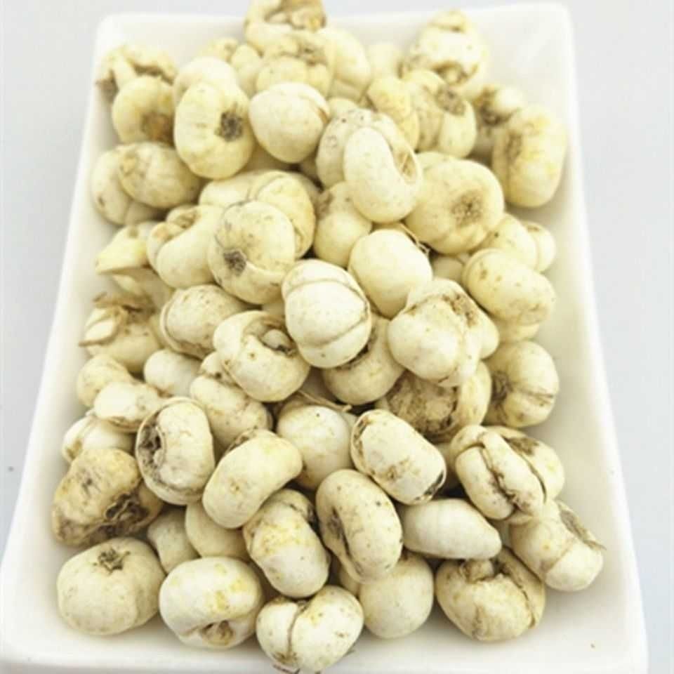 野生藏贝母西藏林芝藏贝母藏尖贝味苦免费磨贝母粉5g/250包邮