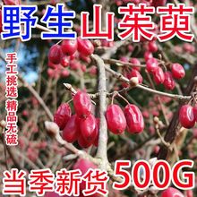 伏牛山野生山茱萸特级纯肉中药材山萸肉无硫无核枣皮干货泡茶泡酒