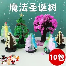 圣诞节装饰纸树开花浇水七彩圣诞树许愿树圣诞节热卖魔法圣诞树