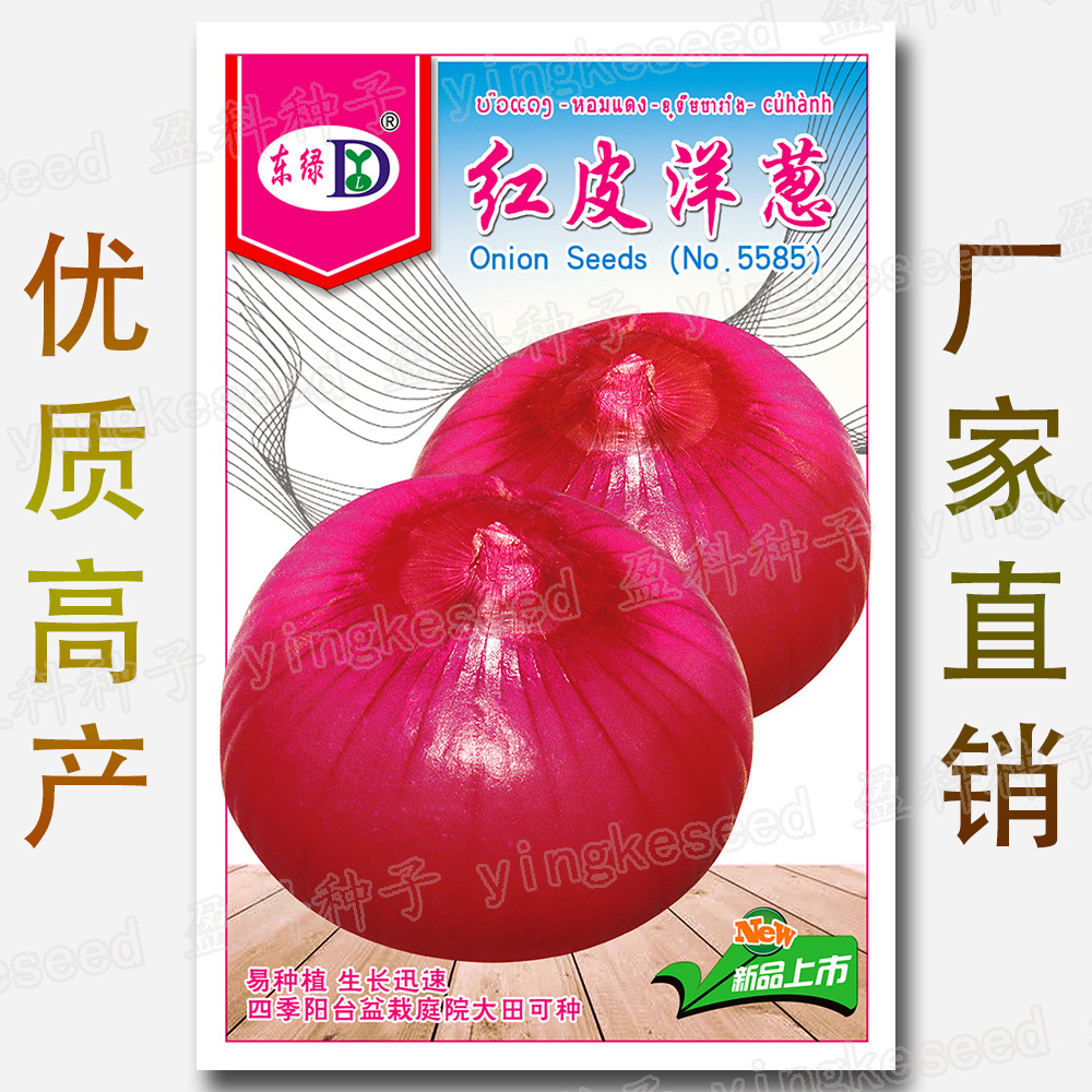 红皮洋葱种子 四季 易种 圆葱头 玉葱头 红地球 紫红 洋葱菜 种籽