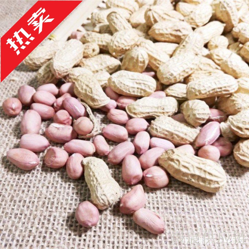 包邮新鲜晒干原味生花生农家种植花生粉红果新货带壳干花生米散装