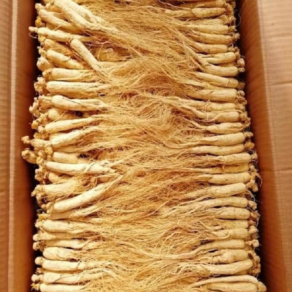 甄选 长白山人参八年人参白参生晒参野生人参干参东北园参泡酒煲