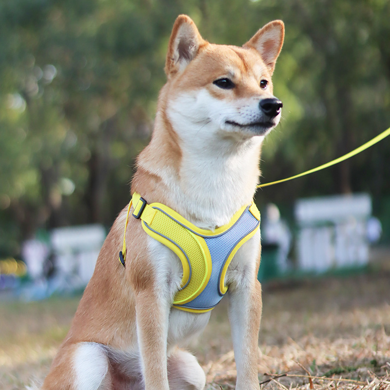宠物狗胸背带透气网布防爆冲背心反光胸背带狗狗外出牵引胸背套装
