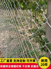镀锌钢丝网勾花铁丝网围栏网养殖网护栏狗牛羊猪菱形不锈防护围网