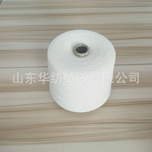 ly有机棉粘纱 粘胶竹节纱 粘胶涤纶竹节麻灰纱2302质优价廉