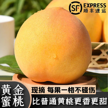 黄金油桃应季大桃子新鲜水果整箱黄肉脆桃水密桃黄肉蜜脆大桃包邮