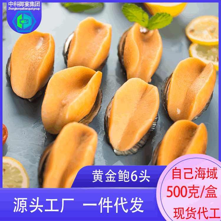 参灵岛黄金鲍黄金澳鲍黑金鲍螺金鲍鱼贝冷冻水产海鲜响螺工厂批发