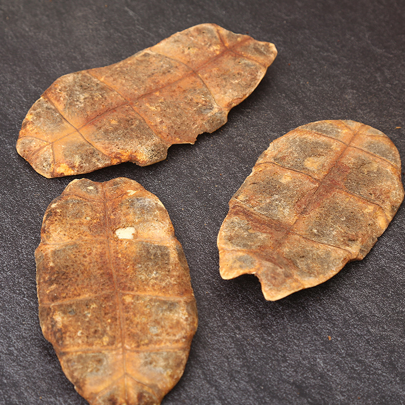 湖北龟板 现货批发中药材1000g龟板龟壳龟甲 规格齐全