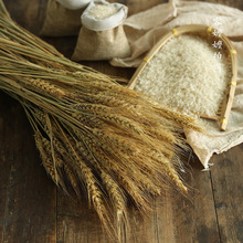 儿里凡天然麦穗干花花束小麦穗拍照道具拍摄拍照背景真大麦子杂粮