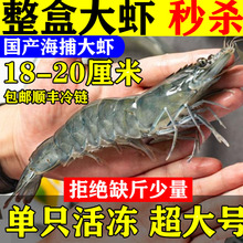 特大对虾王鲜活速冻新鲜野生对虾大海虾青虾明虾海鲜水产包邮