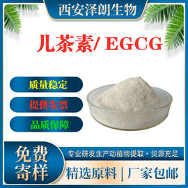 儿茶素 egcg98% 表没食子儿茶素 100克/袋 绿茶提取物 现货供应