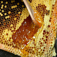 s1土蜂蜜百花蜜洋槐蜜精调蜜蜂蜜制品东北长白山黑蜂雪蜜椴树蜜