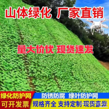 山体绿化网绿叶网矿山复绿网防护网遮盖绿网吊顶装饰网