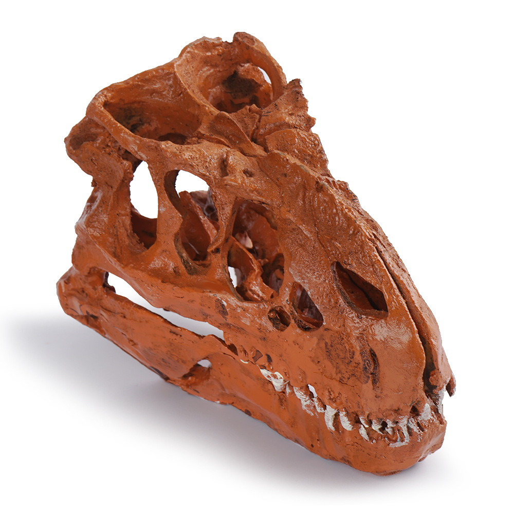 外贸供货室内摆设个性装修霸王龙恐龙头骨标本树脂复制工艺品