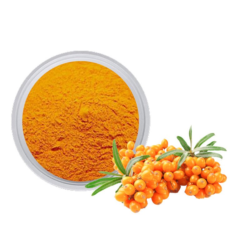 沙棘提取物 沙棘粉 沙棘果粉天然植物新疆沙棘提取物 源头厂家