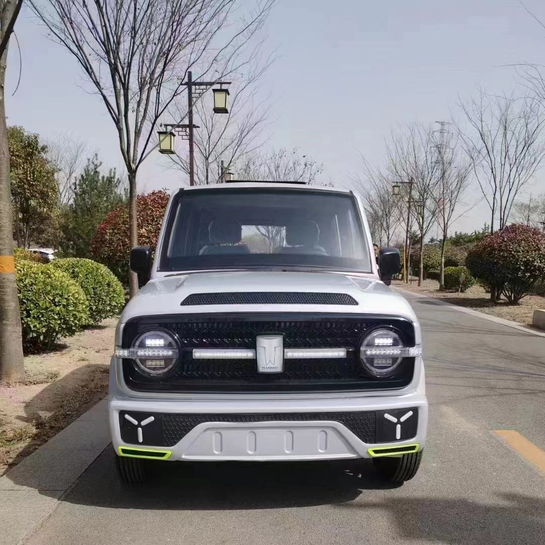 赛博新能源四轮电动车油电两用轿车越野汽车老头乐低速代步电瓶车