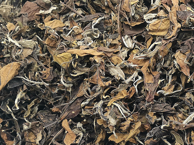 福建福鼎白茶原产地厂家直发2021年磻溪高山寿眉散茶三古品韵茶叶