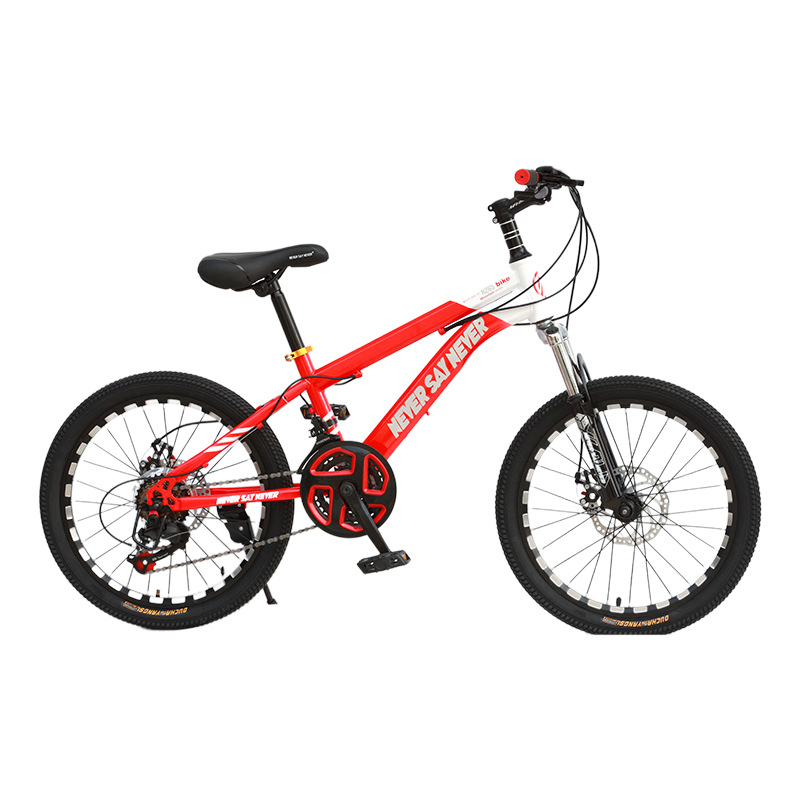 Customized Red Variable Speed Ordinary Pedals Wind Double Disc Brake Hard Frame Bicycle Children's Mountain Bike