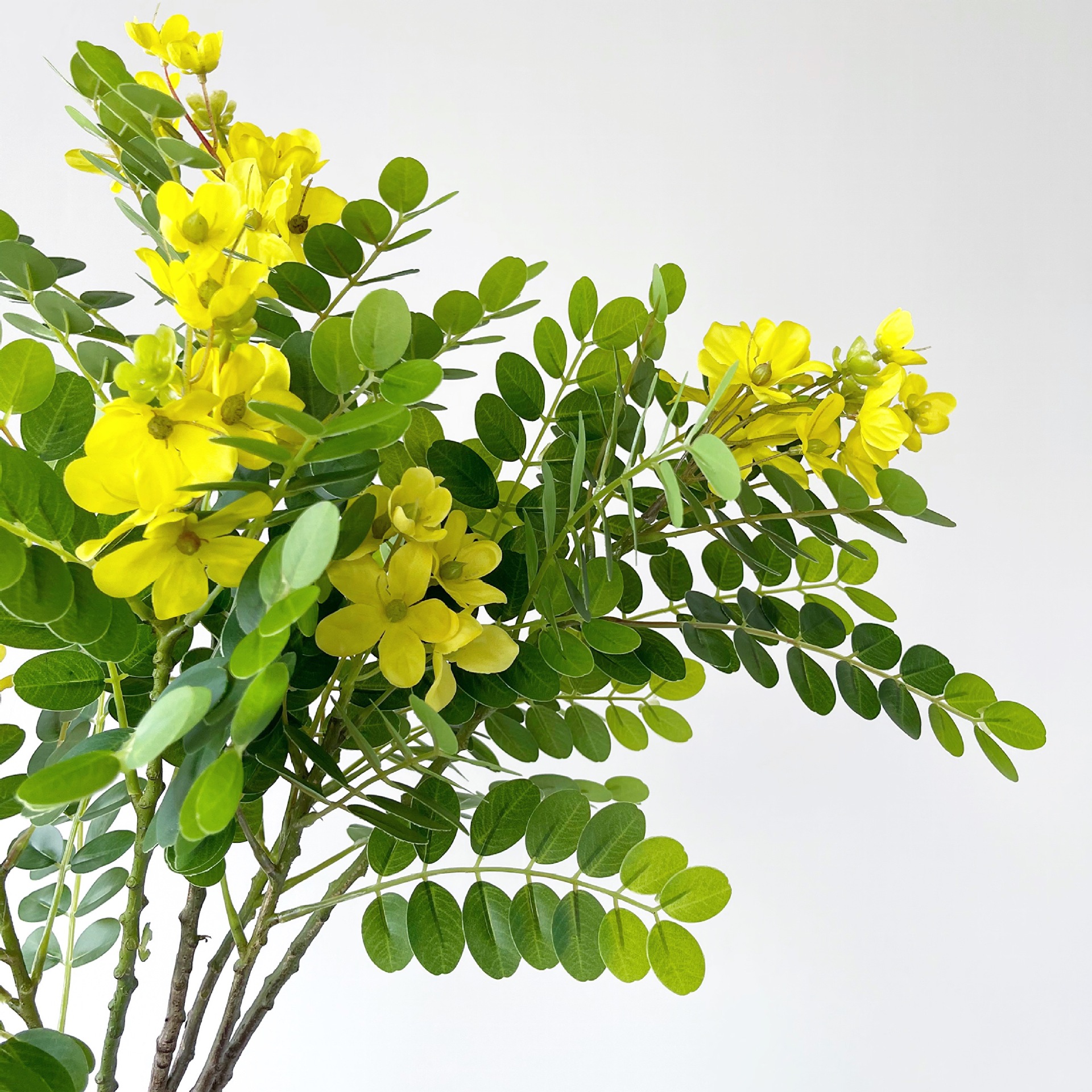 仿真黄槐花叶 黄花叶槐花树叶槐树叶园林工程造景家居装饰仿真花