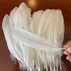 鸭毛羽毛工艺品