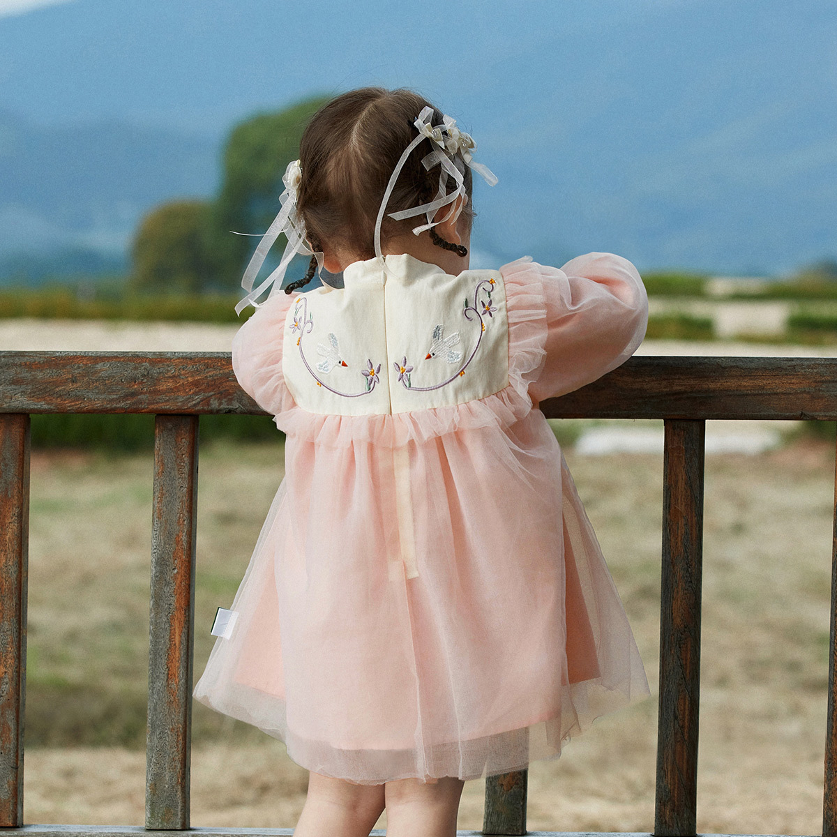 Children's Dress 22 Autumn New Girls Baby Gauze Dress Embroidered Han Chinese Clothing Dress Mesh Fashionable Skirt Autumn