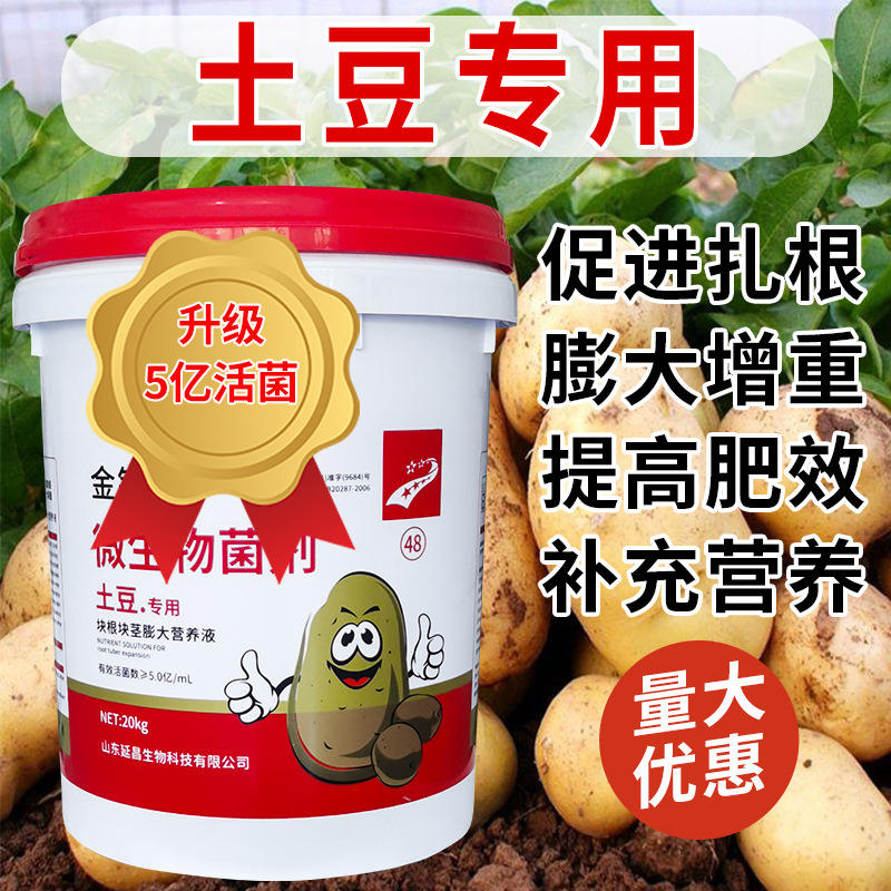 马铃薯肥料 水溶土豆肥水洋芋土豆生物菌剂生物有机肥料冲施肥