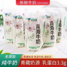 青海牛奶青藏牧场格桑花可加热纯牛乳高原牛奶生牛乳补钙网红牛奶