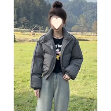 时尚简约立领棉服短款外套女秋冬2023新款宽松小个子短款面包服