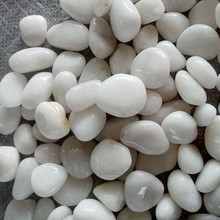 白色雨花石  天然鹅卵石  庭院广场园林工程道路铺设装饰用白石子
